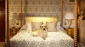Some of the technologies we use are necessary for critical functions like security and site integrity, account authentication, security and privacy preferences, internal site usage and maintenance data, and to make the site work correctly for browsing and transactions. Luxury Pet Friendly Accommodation Around The World Architectural Digest