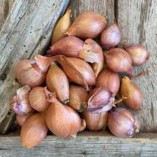 Image result for shallots
