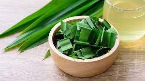 Pandan is grown and cultivated for it ornamental, culinary and health benefits however is most popula What Is Pandan Benefits Uses Taste And Substitutes