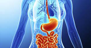 6 Reasons To See A Gastroenterologist