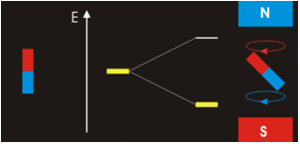 After you created a gif, you can crop, resize, rotate and compress this animated gif file( or any other jpeg, png and bmp images ) at resizeimage.net, you can even remove the background from an image to make it transparent! Nuclear Magnetic Resonance Wikipedia