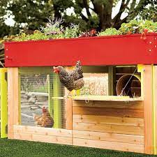 Super Stylish Chicken Coops Chicken Coop Urban Chickens Raising Backyard Chickens