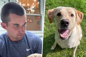 Dog owner helps his pup recover from surgery in the cutest way!