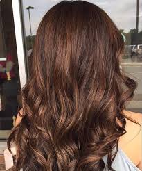 Get cactus salon's contact information, age, background check, white pages, social networks, resume, professional records, pictures & bankruptcies. Cactus Salon Spa Photos Facebook