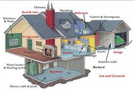 Home appraisal and price negotiation according to the u.s. Top Reasons To Hire Building And Pest Inspection Service Before You Buy A Property Reasonsto Com Au