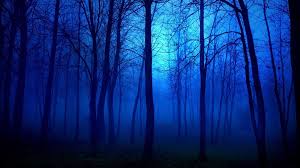 The word cool spelled out with blue background. Forest Cool Blue Trees Wallpaper Novocom Top