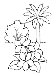Draw along while watching the video; Flowers And Trees Drawing