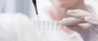 La seremi de salud y la municipalidad de las condes anunciaron que se querellarán en contra de la clínica care full home. Toma De Examen De Pcr En Clinica Las Condes