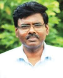 Transition metal-catalyzed coupling of heterocyclic alkenes via C–H  functionalization: recent trends and applications