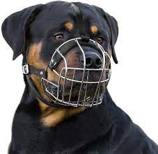 With william miller, irene montalà, paulina gálvez, cornell john. Bronzedog Dog Dog Muzzle Wire Basket Rottweiler Adjustable Straps L Amazon De Pet Supplies