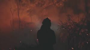 Raging wildfires across Spain and Portugal as temperatures soar