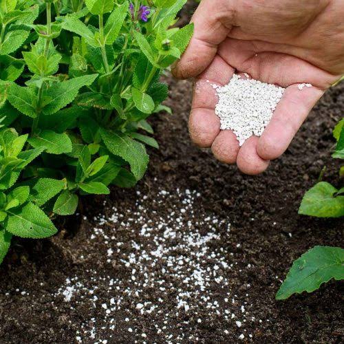 Plant Growth Promoters agriculture product category