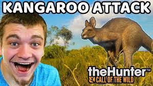 Hunter Beatty's Instagram, Twitter & Facebook