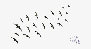 Flock Of Birds Silhouette Png Silhouette Flock Of Bird Transparent Png 722x361 Free Download On Nicepng Download transparent bird silhouette png for free on pngkey.com. flock of birds silhouette png