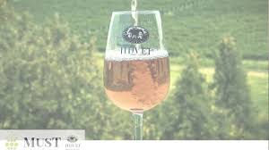 Spațiile în care are loc fermentarea mustului trebuie să fie aerisite. Cinci PaÈi Simpli Pentru Producerea Vinului In Propria GospodÄrie Mustdejidvei Ro