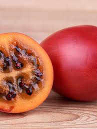 ✅ free delivery and free returns on ebay plus items! Tree Tomato Tamarillo Cyphomandra Betacea Urban Tropicals