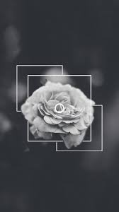 Rd.com pets & animals think of flamboyance in the animal kingdom, and a colorful menagerie springs to mind: Black And White Aesthetic Flower Wallpapers Top Free Black And White Aesthetic Flower Backgrounds Wallpaperaccess