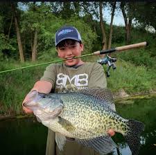 A crappie