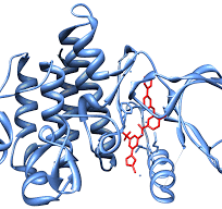 Inibidor da tirosina-quinase – Wikipédia, a enciclopédia livre