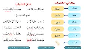 الصف الخامس اللغة العربية قصيدة نحن الشباب ج1 Youtube