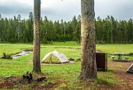 Maybe you would like to learn more about one of these? All About Camping In Yellowstone National Park Dirt In My Shoes