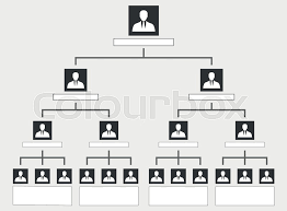 organization chart tree corporate stock vector