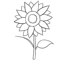 Guys if you want to draw a sunflower, or you want to learn how to draw a beautiful sun flower, then you should follow this post till the end because, here we have explained which will help to draw a sun flower for kids and beginners. Sunflower Drawing Easy For Kids Novocom Top
