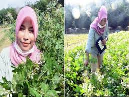Letak nasi sebiji2 tak hancur pun boleh, tapi nampak huduh lah siket bila nak dimakan nanti kan. Pokok Maman Beri Pendapatan Lumayan Kepada Suri Rumah