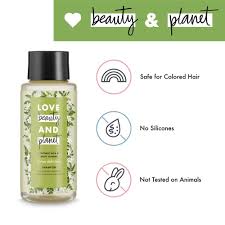 Amazon Com Love Beauty Planet Divine Definition Shampoo Coconut Milk White Jasmine 13 5 Fl Oz Beauty Personal Care
