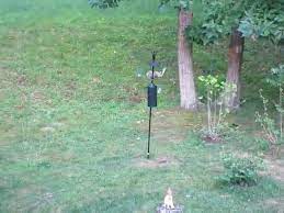 We did not find results for: Audubon Torpedo Steel Squirrel Baffle Model Natorpedo Review Youtube