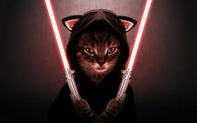 With tenor, maker of gif keyboard, add popular boba fett animated gifs to your conversations. Cats In Star Wars Outfits Star Wars Catsstar Wars Cats