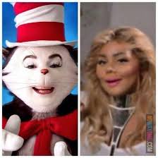 Lil Kim Cat In The Hat Funny Bunnies Funny Laugh Lil Kim