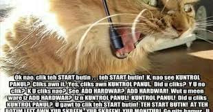 Training Agents Virtually For A Living I Think I Trained This Cat Computer Support Funny Cat Memes Silly Cats