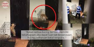 Imsak 05:40 am, subuh 05:50 am, zohor 01:13 pm, asar 04:36 tambunan, nabawan  41  beaufort, kuala penyu, sipitang, tenom, long pa sia, membakut, weston  42  gombak, petaling, sepang, hulu langat. Waktu Solat Petaling Jaya