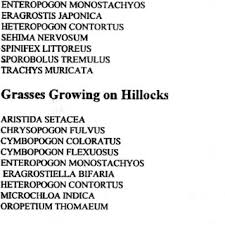 Image result for Enteropogon monostachyos