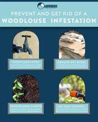 You can click any of the links above landlords are responsible for pest control and keeping infestations away but there are situations the implied warranty of habitability means that landlords must maintain livable conditions in a rental. Use These Tips And Your Home Warranty Plan With Pest Control To Get Rid Of Woodlouse Infestations In Your Home Pest Control Infestations Best Pest Control