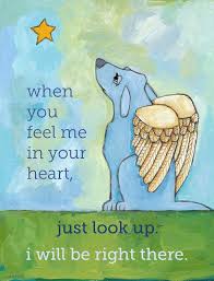 Free pet loss ecard and words of encouragement, dog sympathy and dog loss quotes for schnauzer lovers. Dog Sympathy No 3 Magnets Coasters Cards And Art Prints Etsy Dog Sympathy Dog Sympathy Card Dog Angel
