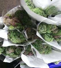 We thank all of the agencies and companies who have supported the. China Special Decoration And Best Price Fresh Cut Flowers Orpin For Celebration China Flowers And Fresh Cut Leaves Price