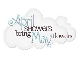 Lindsay Ostrom April Showers Bring May Flowers Facebook Cover Quotes April Showers May Flowers