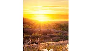 Joan Anzulewicz Obituary