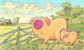 Piggeldy und frederick sprüche : Piggeldy Und Frederick Sind 50