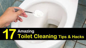 Plus the borax and vinegar never mixed real well and separated if i let it sit for more than a minute. 17 Amazing Ways To Clean A Toilet