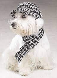 Pin By Sjannie On Houndstooth Black White Hat And Scarf Sets Scarf Set Houndstooth