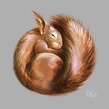 Artstation Sleeping Squirrel Natalia Olszewska Squirrel Art Squirrel Illustration Squirrel