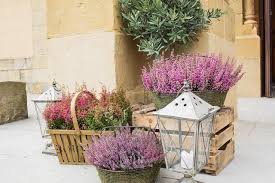 No obstante, en el post de hoy vamos a hablar sobre las ideas de decoracion de otoño que incluyen las manzanas, no se pierda. Decoracion Bodas Otono Flores Lavanda Organizacion De Bodas Wedding Planner Sevilla