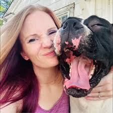 How to train agile boxers not to jump over fences?