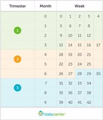 How Many Months Pregnant Am I According To These Charts