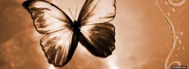 Don't forget to like your favorite black butterfly facebook timeline cover by clicking on the. Great Butterfly Nature Photo Facebook Cover