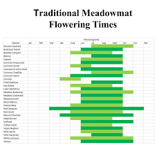 Jan 18, 2021 · yes, there are definitely flowers that bloom in late winter, like pansies, hellebores and winter aconite. When Will My Wildflowers Bloom Turfonline
