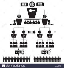 Organizational Corporate Hierarchy Chart Vector Illustrated